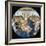 Virgin and Child with Eight Angels-Sandro Botticelli-Framed Giclee Print