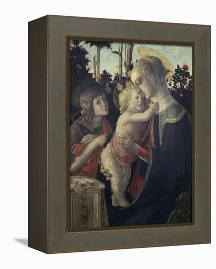 Virgin and Child with John the Baptist-Sandro Botticelli-Framed Premier Image Canvas