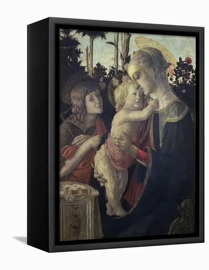 Virgin and Child with John the Baptist-Sandro Botticelli-Framed Premier Image Canvas