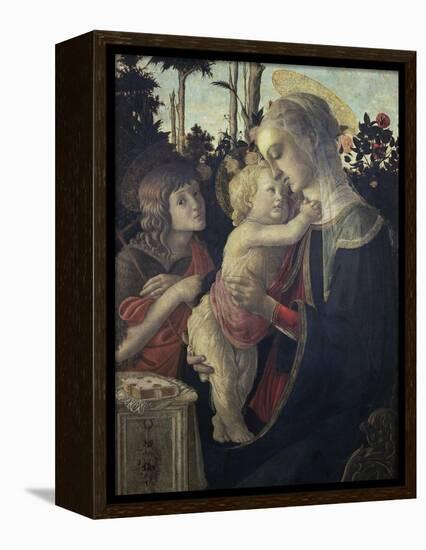 Virgin and Child with John the Baptist-Sandro Botticelli-Framed Premier Image Canvas