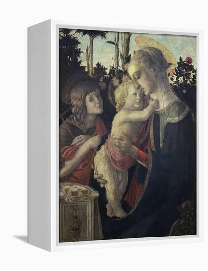 Virgin and Child with John the Baptist-Sandro Botticelli-Framed Premier Image Canvas