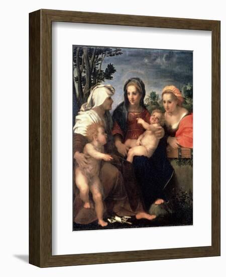 Virgin and Child with Saints Catherine, Elisabeth and John the Baptist, 1510S-Andrea del Sarto-Framed Giclee Print