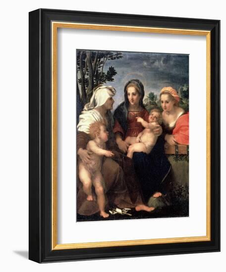 Virgin and Child with Saints Catherine, Elisabeth and John the Baptist, 1510S-Andrea del Sarto-Framed Giclee Print