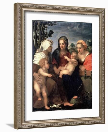 Virgin and Child with Saints Catherine, Elisabeth and John the Baptist, 1510S-Andrea del Sarto-Framed Giclee Print