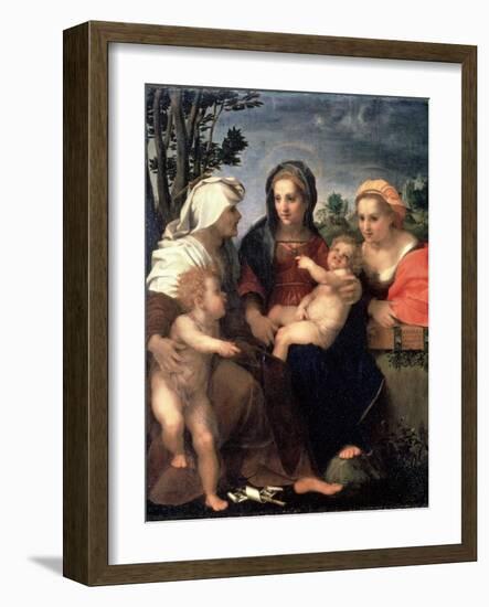 Virgin and Child with Saints Catherine, Elisabeth and John the Baptist, 1510S-Andrea del Sarto-Framed Giclee Print
