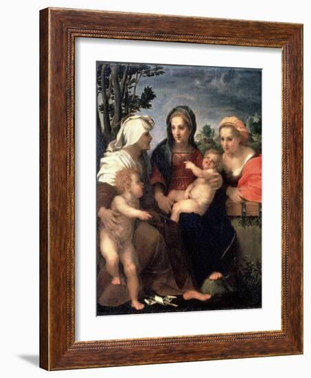 Virgin and Child with Saints Catherine, Elisabeth and John the Baptist, 1510S-Andrea del Sarto-Framed Giclee Print