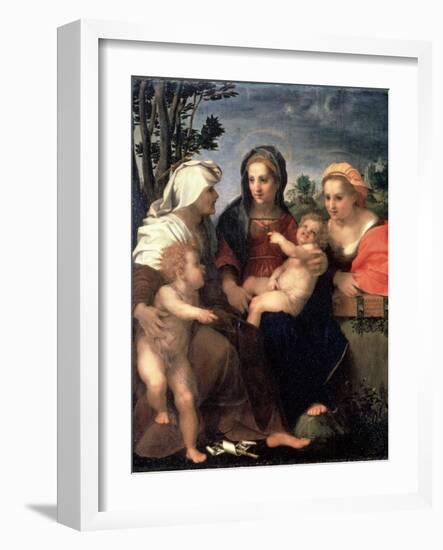 Virgin and Child with Saints Catherine, Elisabeth and John the Baptist, 1510S-Andrea del Sarto-Framed Giclee Print