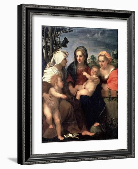 Virgin and Child with Saints Catherine, Elisabeth and John the Baptist, 1510S-Andrea del Sarto-Framed Giclee Print