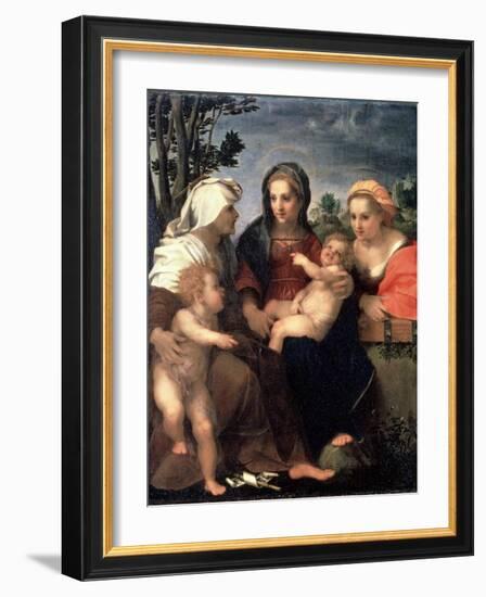 Virgin and Child with Saints Catherine, Elisabeth and John the Baptist, 1510S-Andrea del Sarto-Framed Giclee Print
