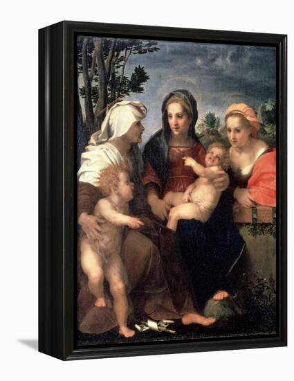 Virgin and Child with Saints Catherine, Elisabeth and John the Baptist, 1510S-Andrea del Sarto-Framed Premier Image Canvas