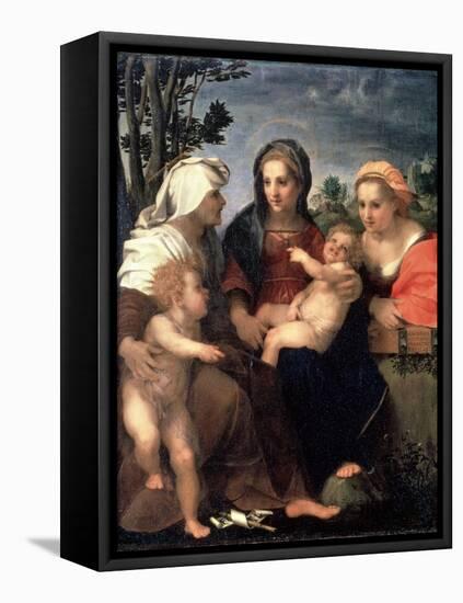 Virgin and Child with Saints Catherine, Elisabeth and John the Baptist, 1510S-Andrea del Sarto-Framed Premier Image Canvas