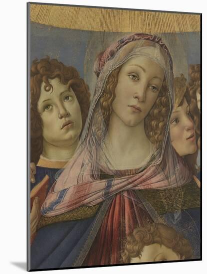 Virgin and Child with Six Angels (Madonna of the Pomegranate)-Sandro Botticelli-Mounted Giclee Print