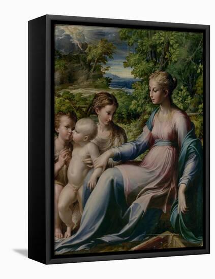 Virgin and Child with St. John the Baptist and Mary Magdalene, 1535-40-Parmigianino-Framed Premier Image Canvas