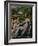 Virgin and Child with St. John the Baptist and Mary Magdalene, 1535-40-Parmigianino-Framed Giclee Print