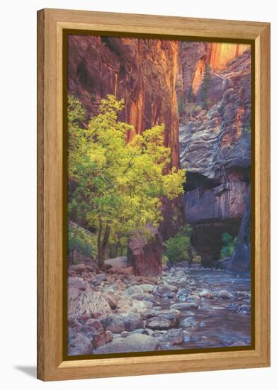 Virgin Narrows Nook, Zion-Vincent James-Framed Premier Image Canvas