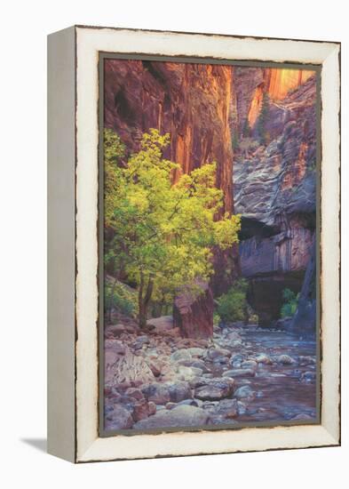 Virgin Narrows Nook, Zion-Vincent James-Framed Premier Image Canvas