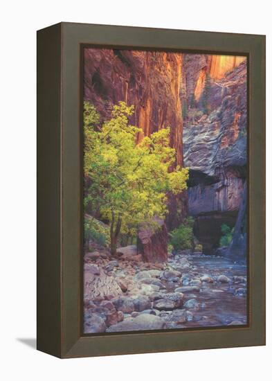 Virgin Narrows Nook, Zion-Vincent James-Framed Premier Image Canvas