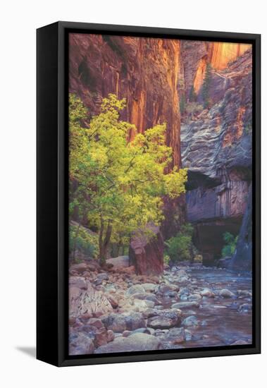 Virgin Narrows Nook, Zion-Vincent James-Framed Premier Image Canvas