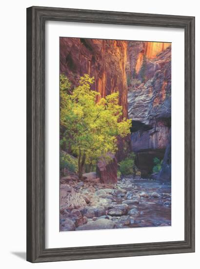 Virgin Narrows Nook, Zion-Vincent James-Framed Photographic Print