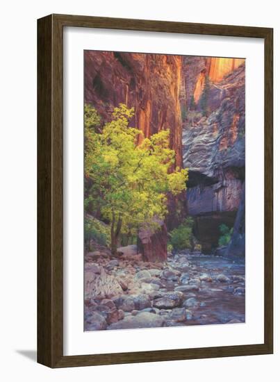 Virgin Narrows Nook, Zion-Vincent James-Framed Photographic Print