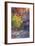 Virgin Narrows Nook, Zion-Vincent James-Framed Photographic Print