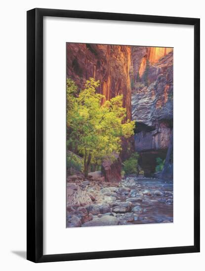 Virgin Narrows Nook, Zion-Vincent James-Framed Photographic Print