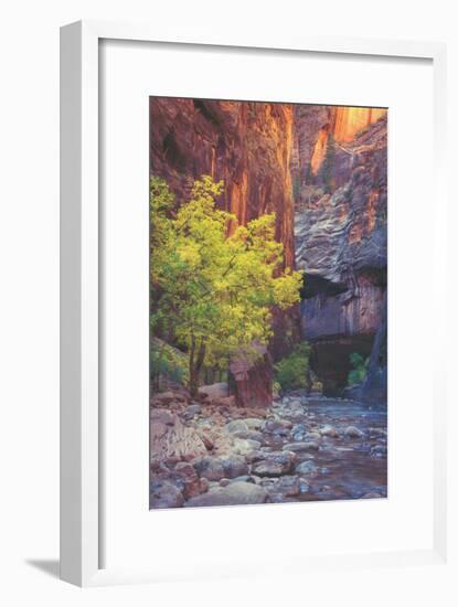 Virgin Narrows Nook, Zion-Vincent James-Framed Photographic Print