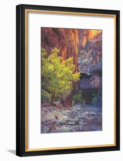 Virgin Narrows Nook, Zion-Vincent James-Framed Photographic Print