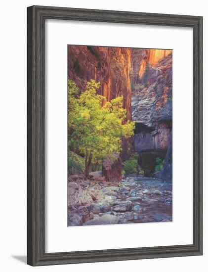 Virgin Narrows Nook, Zion-Vincent James-Framed Photographic Print