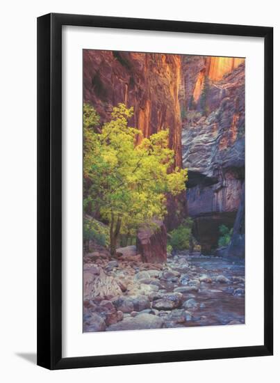 Virgin Narrows Nook, Zion-Vincent James-Framed Photographic Print