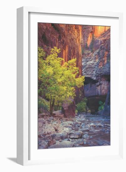 Virgin Narrows Nook, Zion-Vincent James-Framed Photographic Print