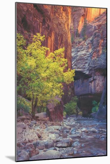 Virgin Narrows Nook, Zion-Vincent James-Mounted Photographic Print