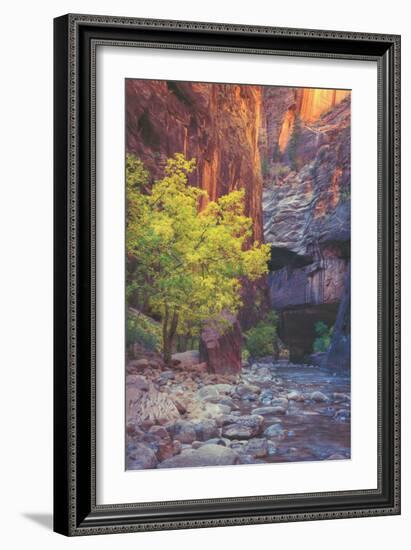 Virgin Narrows Nook, Zion-Vincent James-Framed Photographic Print