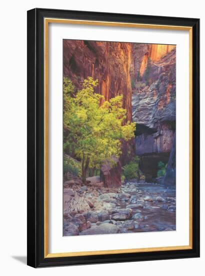 Virgin Narrows Nook, Zion-Vincent James-Framed Photographic Print