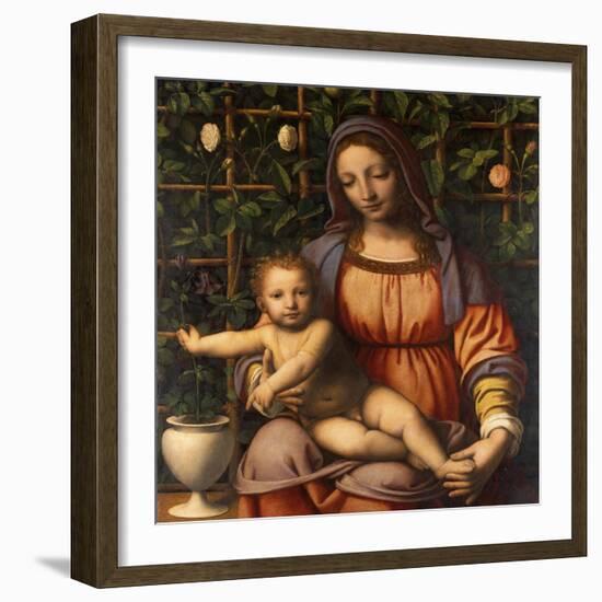 Virgin of the Rose Bush-Bernardino Luini-Framed Giclee Print