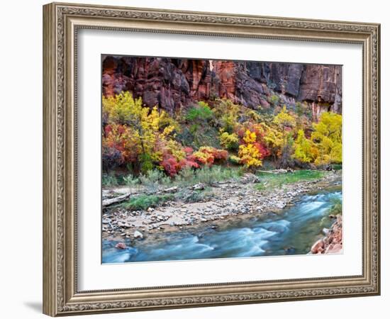 Virgin River and Rock Face at Big Bend, Zion National Park, Springdale, Utah, USA-null-Framed Photographic Print