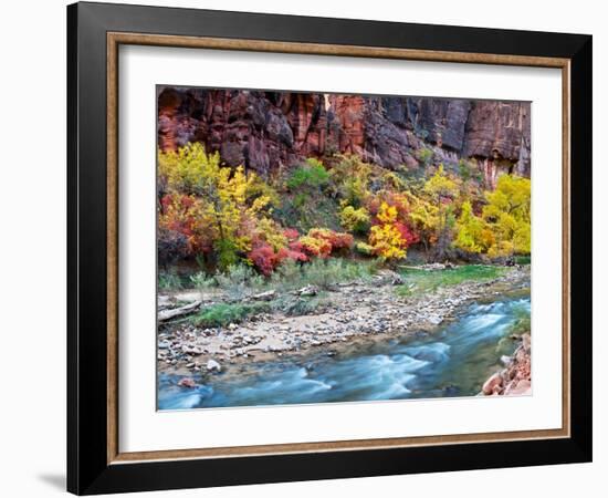 Virgin River and Rock Face at Big Bend, Zion National Park, Springdale, Utah, USA-null-Framed Photographic Print