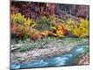 Photographic Print