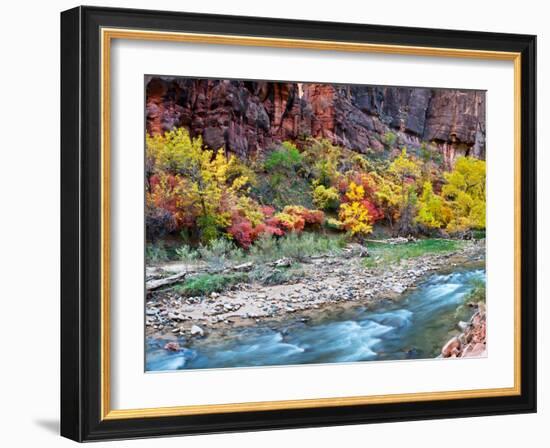 Virgin River and Rock Face at Big Bend, Zion National Park, Springdale, Utah, USA-null-Framed Photographic Print