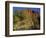 Virgin River Below the Watchmen, Zion National Park, Utah, USA-Charles Gurche-Framed Photographic Print