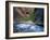 Virgin River Flowing Through the Virgin Narrows, Zion National Park, Utah, USA-Lee Frost-Framed Photographic Print