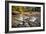 Virgin River II-Danny Head-Framed Photographic Print