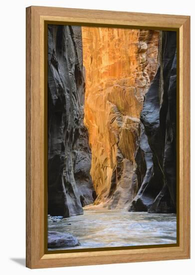 Virgin River Narrows, Zion National Park, Utah, United States of America, North America-Gary-Framed Premier Image Canvas