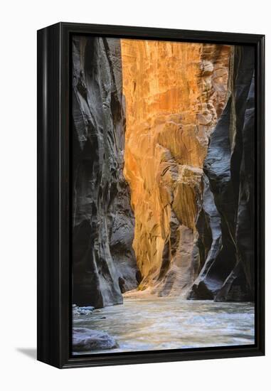 Virgin River Narrows, Zion National Park, Utah, United States of America, North America-Gary-Framed Premier Image Canvas
