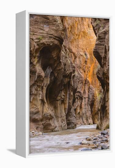 Virgin River Narrows, Zion National Park, Utah, United States of America, North America-Gary-Framed Premier Image Canvas