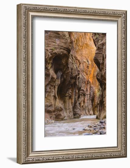 Virgin River Narrows, Zion National Park, Utah, United States of America, North America-Gary-Framed Photographic Print