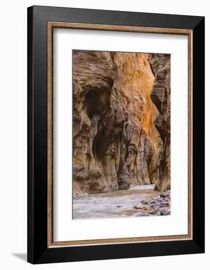 Virgin River Narrows, Zion National Park, Utah, United States of America, North America-Gary-Framed Photographic Print