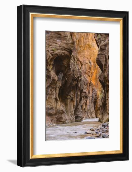 Virgin River Narrows, Zion National Park, Utah, United States of America, North America-Gary-Framed Photographic Print