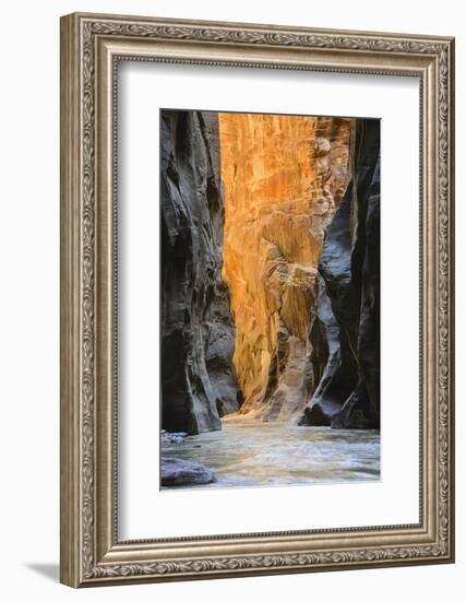 Virgin River Narrows, Zion National Park, Utah, United States of America, North America-Gary-Framed Photographic Print