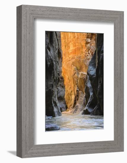 Virgin River Narrows, Zion National Park, Utah, United States of America, North America-Gary-Framed Photographic Print